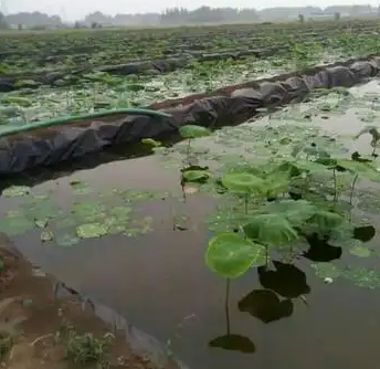 1729845360.png )ZD93XIHGYTGL81{YHA0)FT.png